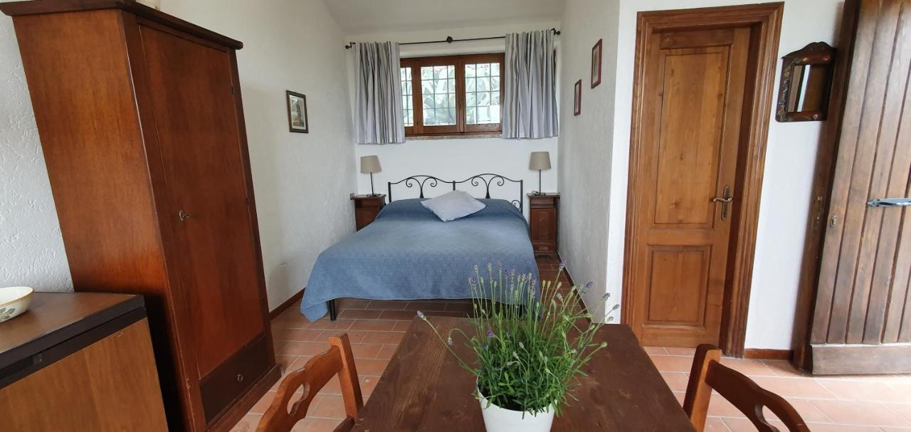 Poloturisticoumbria Rustico Con Piscina Vista Lago Passignano sul Trasimeno Eksteriør bilde